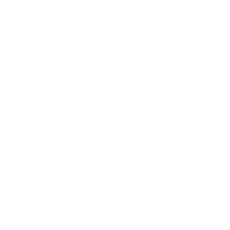 Logo Climate Partner